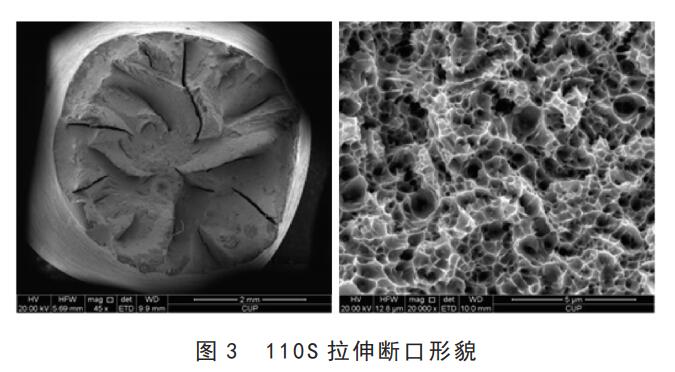 110S断口形貌